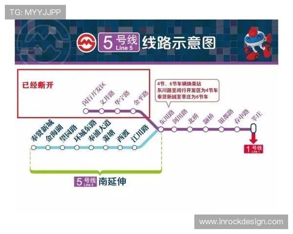上海乒乓球队运营模式深度解析与发展趋势探讨